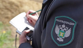Россельхознадзор выдал предостережение цирку за неуведомление о гастролях в Чеченской Республике