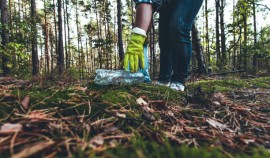 В лесах Чеченской Республики проходят субботники