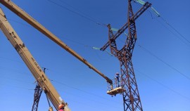АО «Чеченэнерго» установит в республике 236 птицезащитных устройств