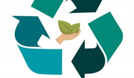 В ЧР реализуется студенческий экологический проект «Чистая среда»