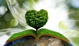 В Чеченской Республике стартует «Неделя экологических знаний»