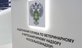 Россельхознадзор усилил ветеринарный контроль на границах Чеченской Республики