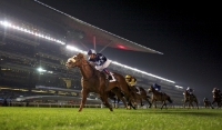 На ипподроме Meydan в ОАЭ проходит самая дорогая скачка сезона - Dubai World Cup 
