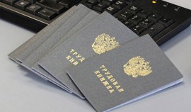 Трудовые книжки нового образца могут появиться в России в 2023 году