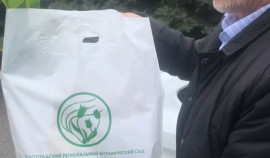 Чеченская Республика примет участие во Всероссийской акции 