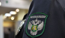 В Чеченской Республике Россельхознадзор выявил 7 тыс. нарушений при работе в компоненте «Меркурий»
