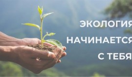 Через знания и творчество: в Серноводском районе прошёл экологический урок для детей