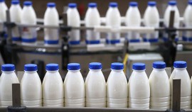 Хозяйствующему субъекту в ЧР выдано предостережение за нарушение учёта животных