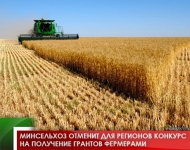 Минсельхоз отменит для регионов конкурс на получение грантов фермерами 