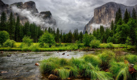 Итоги пожароопасного сезона в лесах Чеченской Республики