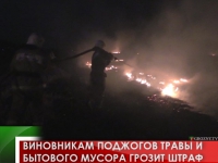 Виновникам поджогов травы и бытового мусора грозит штраф