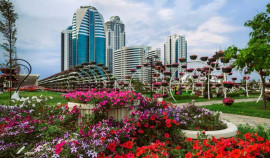 Более 220 тысяч цветов украсят общественные территории Грозного