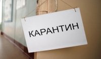 Количество школ на карантине в России увеличилось до 125