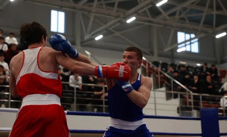 В Грозном прошёл турнир по боксу в рамках «УниверСпортФеста»