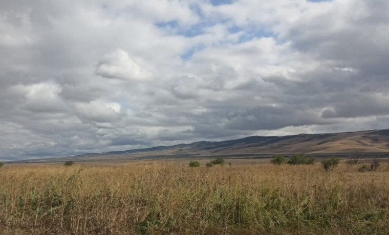 Россельхознадзор выявил зарастание 30 га сельхозземель в ЧР