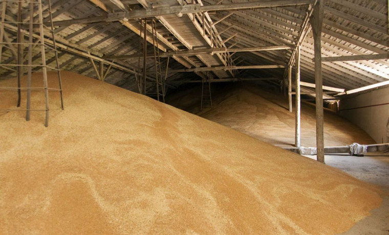 Россельхознадзор выявил поддельные декларации на 26 тысяч тонн зерна в ЧР