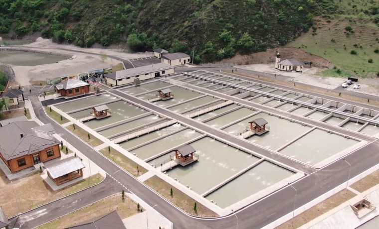 Чеченскую Республику с рабочим визитом посетил министр сельского хозяйства РФ Дмитрий Патрушев