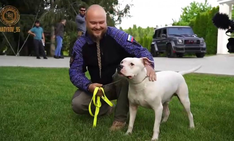 Спасенную на «Азовстали» собаку передали Рамзану Кадырову