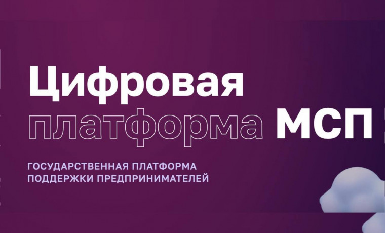 Меры поддержки Цифровой платформы МСП.РФ стали доступны на портале госуслуг