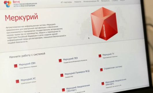 48 школ Грозного зарегистрировались в системе «Меркурий»