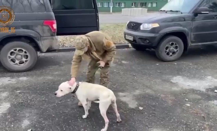 Рамзан Кадыров: «Собака - лучший друг человека»