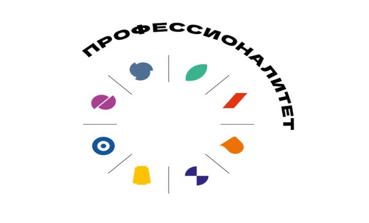 Санкт-Петербург примет финал чемпионата «Профессионалы» 2025 года