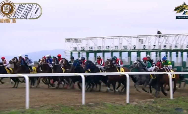 Рамзан Кадыров вместе с гостями побывал на скачках, посвященных 70-летию Владимира Путина