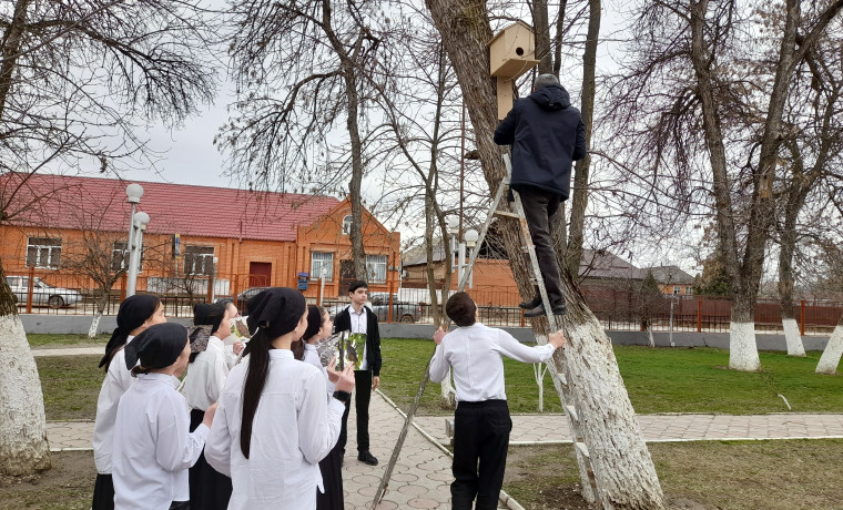 В школах Шалинского района прошла акция «Поможем птицам»