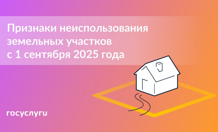 Установлены критерии неиспользования участков: что нужно учитывать собственникам земли с 1 сентября