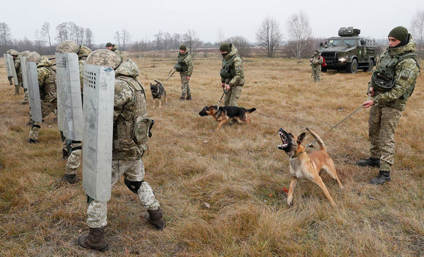 Украинские пограничники не оказывают сопротивления российским военным, заявили в Минобороны РФ