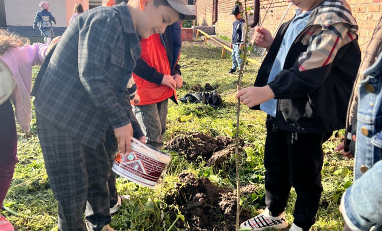 В детском саду «Ручеек» прошла акция «Посади дерево памяти»