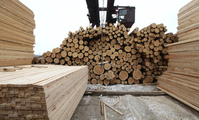 Россельхознадзор выявил 88 нарушений при ввозе лесоматериалов в ЧР