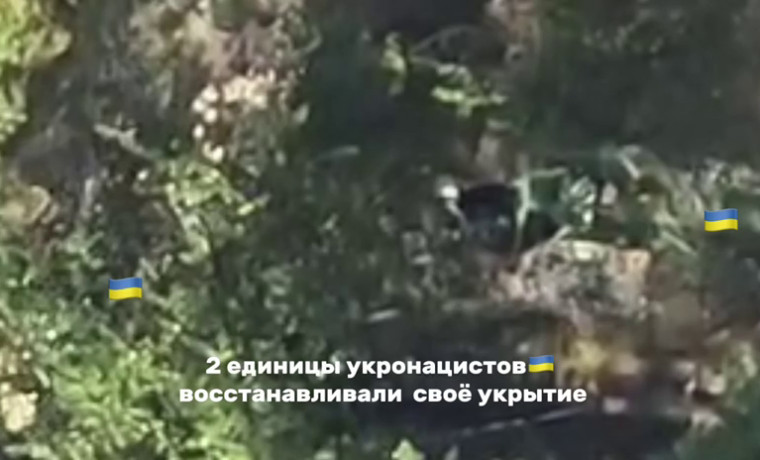 Батальон им. Шейха Мансура уничтожил укрепленные пункты ВСУ на Харьковском направлении