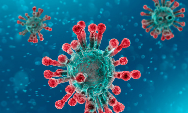 90 проб от лиц с положительным ПЦР-тестом направлены на секвенирование в лабораторию