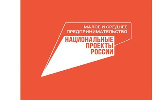 : Объём финансовой поддержки МСП за первое полугодие 2023 года составил более 770 млрд рублей