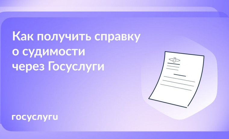 Бумажная или электронная: справку о судимости можно заказать на Госуслугах