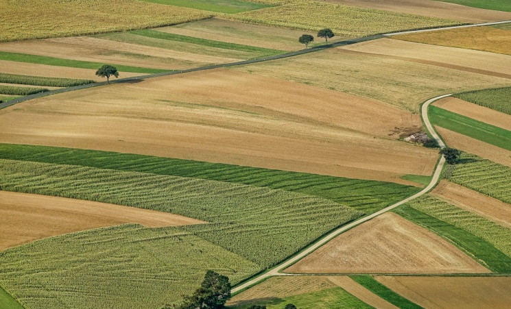 Более 160 гектаров неиспользуемых сельхозземель в ЧР введены в оборот