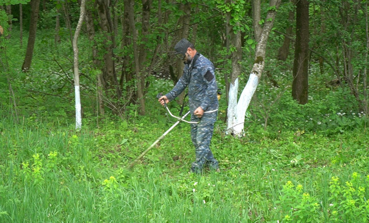 Ачхой-Мартановский район присоединился к экомарафону «Чистые берега»