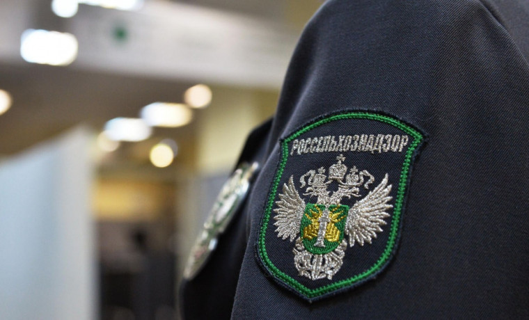 Специалисты Россельхознадзора разъяснили правила работы с пестицидами и агрохимикатами