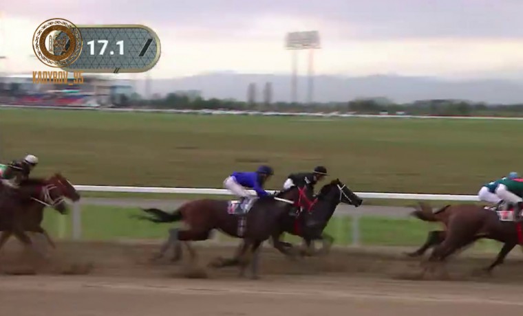 Рамзан Кадыров: Конный спорт в ЧР планомерно развивается