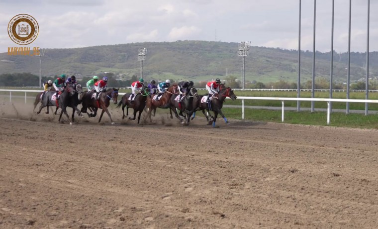 На ипподроме им. С.-Х. Закаева прошли скачки, приуроченные ко дню рождения Владимира Путина
